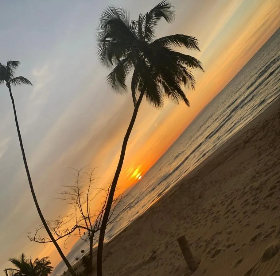 Villa Brise De Mer Las Terrenas